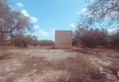 Casa de campo con terreno en venta en la España, Ulldecona, ref: TR311835 foto