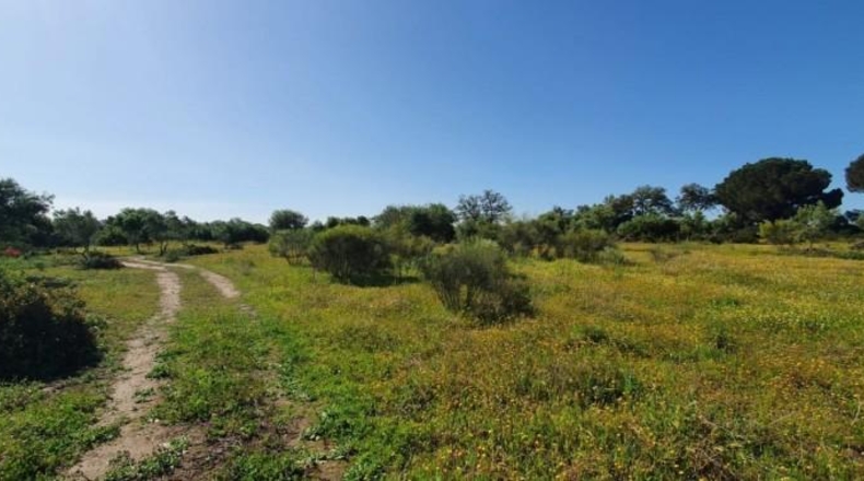 Кадис - San José del Valle - 4000m2