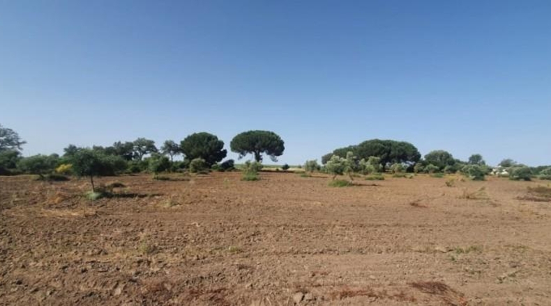 Кадис - San José del Valle - 4000m2