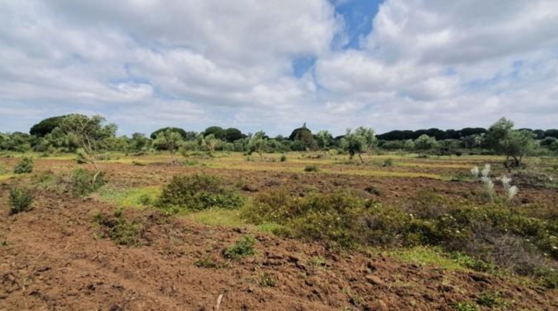 Кадис - San José del Valle - 4000m2