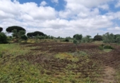 Terreno no urbanizable en venta en la España, San José del Valle, ref: TR337374 foto