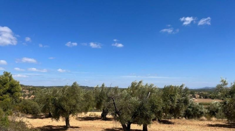 Teruel - Cretas - 31481m2