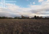 Отдельно стоящий дом с участком на продажу в городе Томельосо Фото