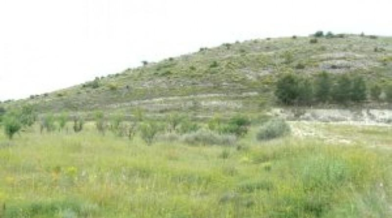 Alicante - Monóvar - 15643m2