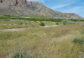 Terreno no urbanizable en venta en la España, Santomera, ref: TR115180 foto