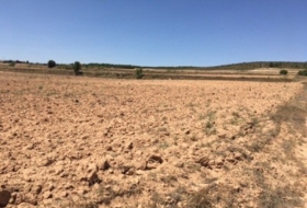 Almansa 16273&nbsp;m²