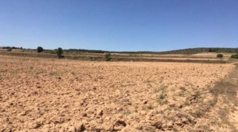 Albacete - Almansa - 16273m2