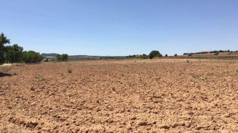 Albacete - Almansa - 16273m2