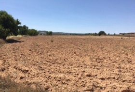 Almansa 16273&nbsp;m²