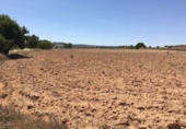 Parcela urbanizable en venta en la España, Almansa, ref: TR118606 foto