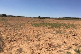 Almansa 16273&nbsp;m²