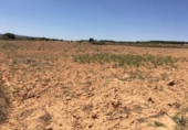 Parcela urbanizable en venta en la España, Almansa, ref: TR118606 foto