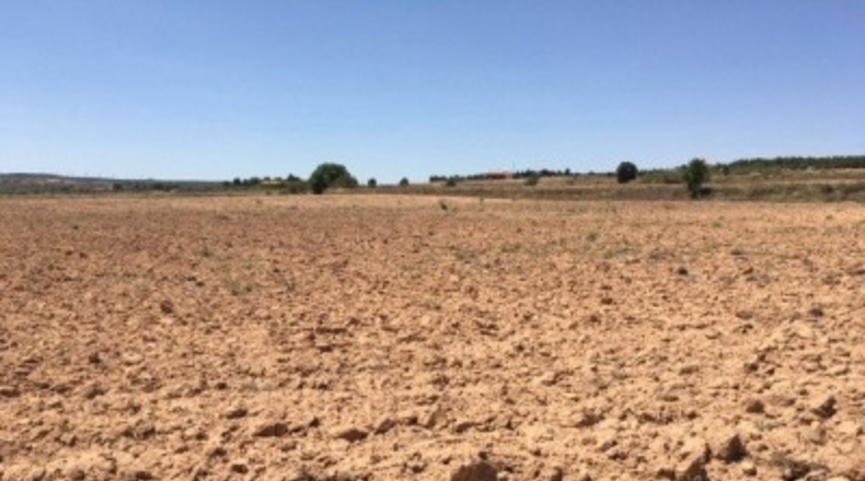 Albacete - Almansa - 16273m2