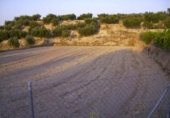 Terreny no urbanitzable en venda a la España, Calasparra, ref.: TR119441 foto