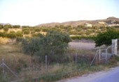 Terreny no urbanitzable en venda a la España, Calasparra, ref.: TR119441 foto