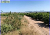 Chalet independiente con terreno en venta en la España, Santomera, ref: TR300078 foto