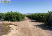 Chalet independiente con terreno en venta en la España, Santomera, ref: TR300078 foto