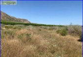 Chalet independiente con terreno en venta en la España, Santomera, ref: TR300078 foto
