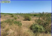Chalet independiente con terreno en venta en la España, Santomera, ref: TR300078 foto