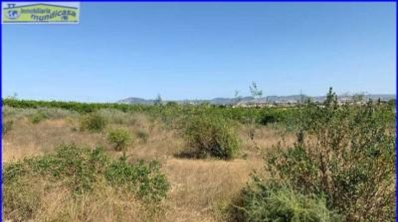Murcia - Santomera - 2778m2