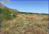 Chalet independiente con terreno en venta en la España, Santomera, ref: TR300078 foto