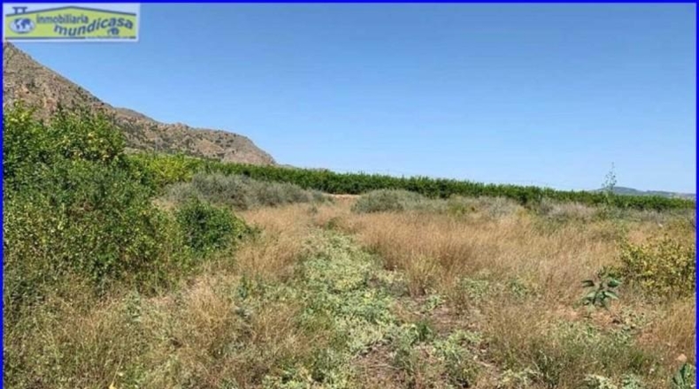 Murcia - Santomera - 2778m2