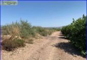 Chalet independiente con terreno en venta en la España, Santomera, ref: TR300078 foto