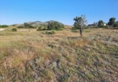 Terreno no urbanizable en venta en la España, Monóvar, ref: TR122149 foto