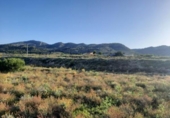 Terreno no urbanizable en venta en la España, Monóvar, ref: TR122149 foto