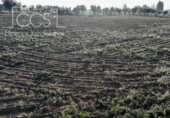Terreno no urbanizable en venta en la España, Almonte, ref: TR122373 foto