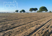 Terreno no urbanizable en venta en la España, Almonte, ref: TR122373 foto