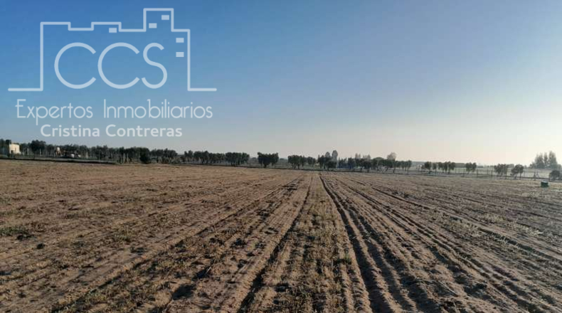 Huelva - Almonte - 25000m2
