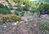 Parcela urbanizable en venta en la España, Olocau, ref: TR120981 foto