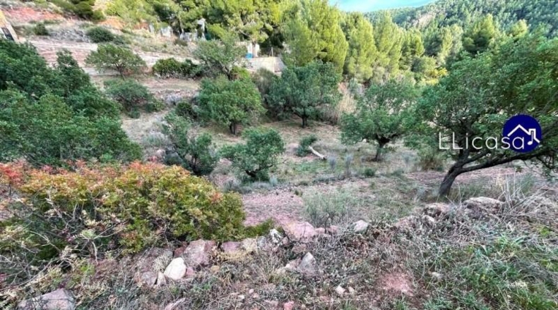 València - Olocau - 3061m2