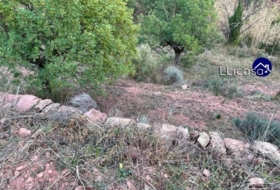 Foto 8