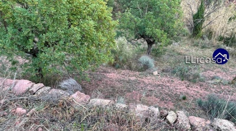 València - Olocau - 3061m2