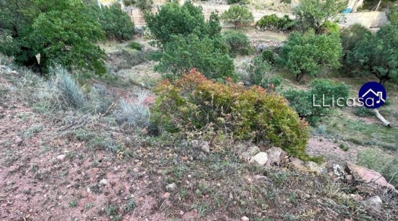 València - Olocau - 3061m2