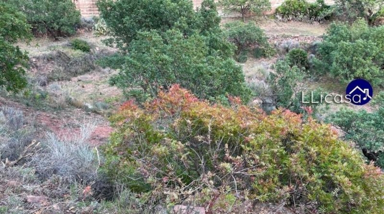 València - Olocau - 3061m2