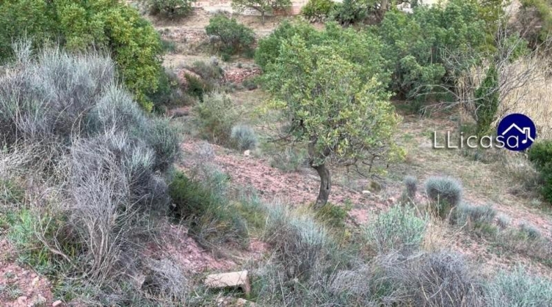 València - Olocau - 3061m2