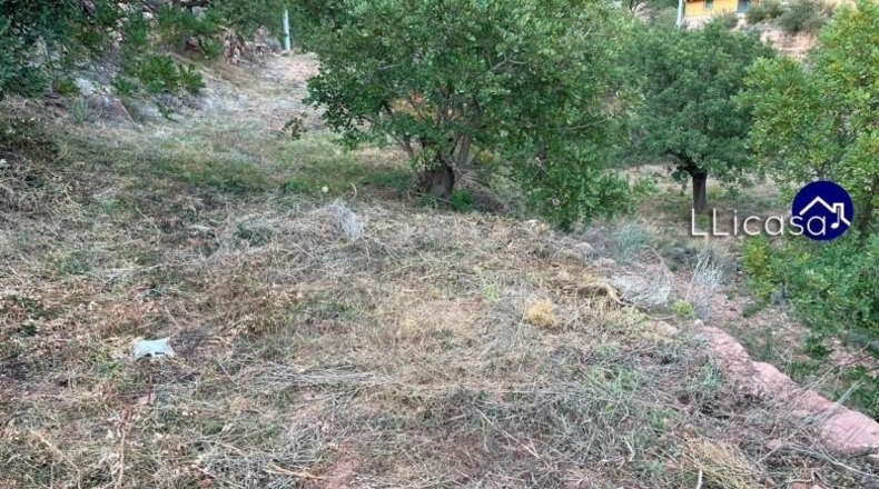 València - Olocau - 3061m2