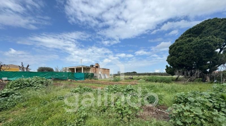 Sevilla - Paradas - 1000m2
