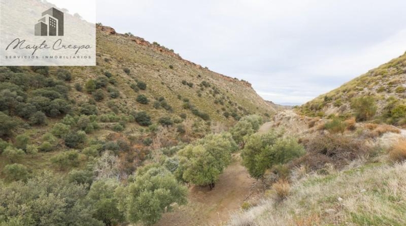 Granada - Monachil - 5462m2