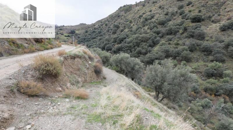 Granada - Monachil - 5462m2