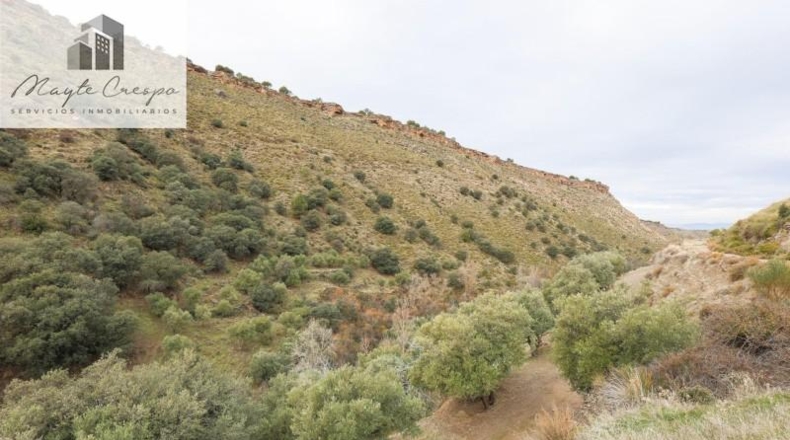 Granada - Monachil - 5462m2