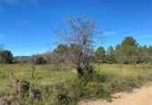 Non-developable land for sale on España, el Pont d'Armentera, ref: TR177321 photo
