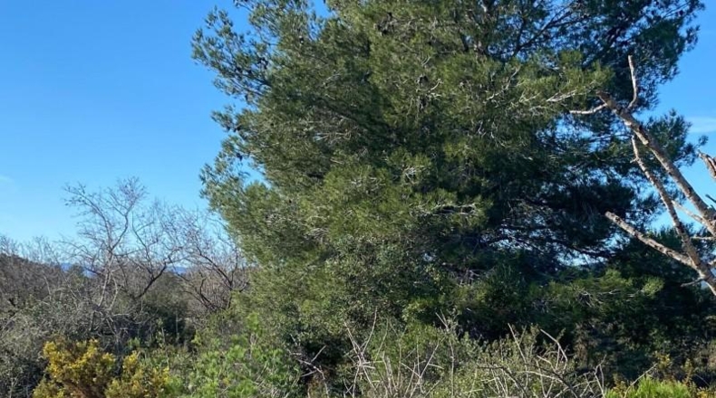 Tarragona - el Pont d'Armentera - 40944m2