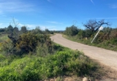 Non-developable land for sale on España, el Pont d'Armentera, ref: TR177321 photo