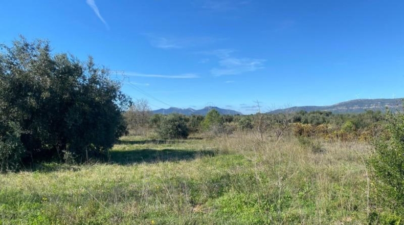 Tarragona - el Pont d'Armentera - 40944m2