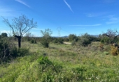 Non-developable land for sale on España, el Pont d'Armentera, ref: TR177321 photo