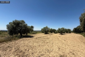 Barbastro 1800&nbsp;m²